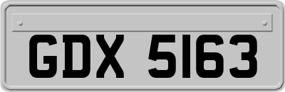 GDX5163