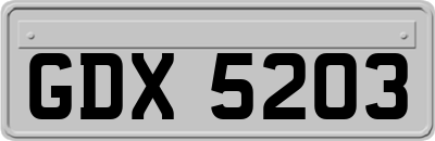 GDX5203
