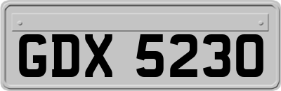 GDX5230
