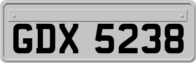 GDX5238
