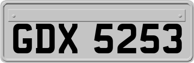 GDX5253