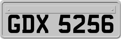 GDX5256