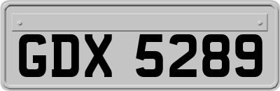 GDX5289