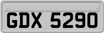 GDX5290