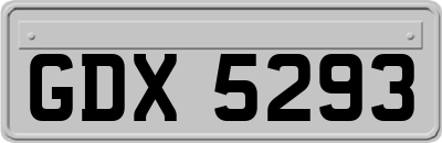 GDX5293