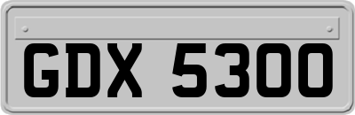 GDX5300