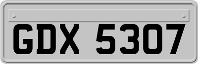 GDX5307