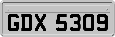 GDX5309