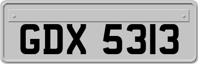 GDX5313