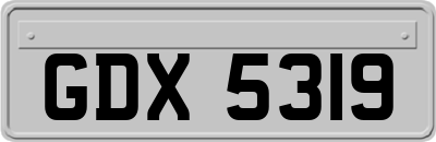 GDX5319
