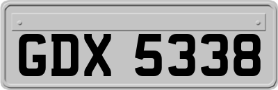 GDX5338