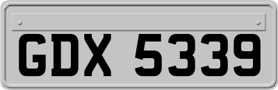 GDX5339