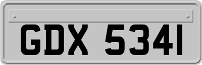 GDX5341