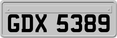 GDX5389