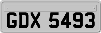 GDX5493