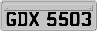 GDX5503
