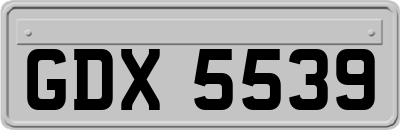 GDX5539