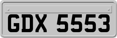 GDX5553