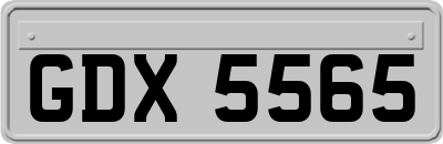 GDX5565