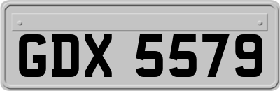 GDX5579