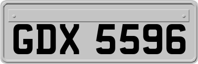 GDX5596