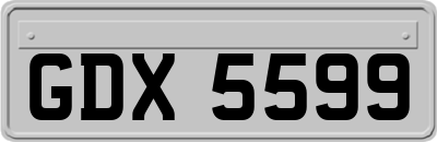 GDX5599