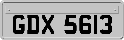 GDX5613