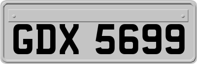 GDX5699