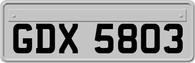 GDX5803