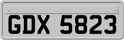 GDX5823