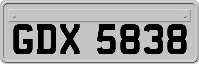 GDX5838