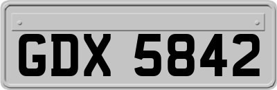 GDX5842