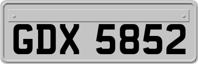 GDX5852