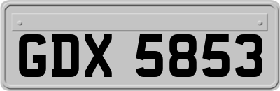 GDX5853