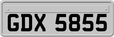 GDX5855
