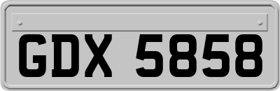 GDX5858