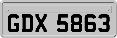 GDX5863