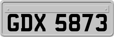 GDX5873