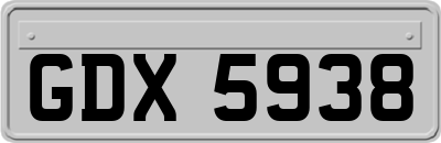 GDX5938
