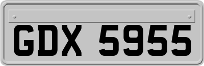GDX5955
