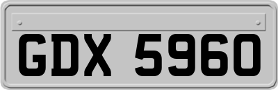 GDX5960