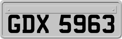 GDX5963