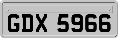 GDX5966