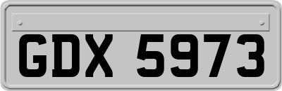 GDX5973
