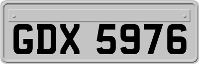 GDX5976