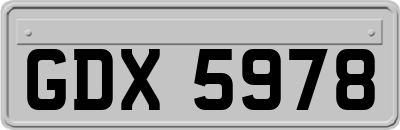 GDX5978