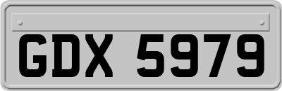 GDX5979