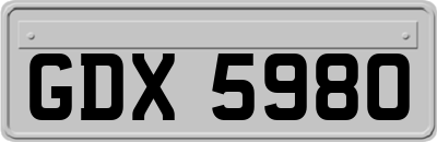 GDX5980