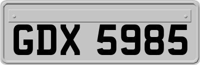 GDX5985