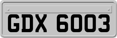 GDX6003